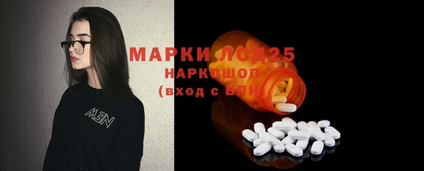 прущие грибы Балабаново