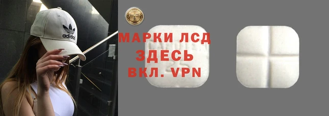 ALPHA PVP Баксан