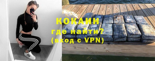 прущие грибы Балабаново