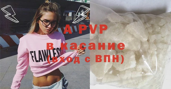 прущие грибы Балабаново