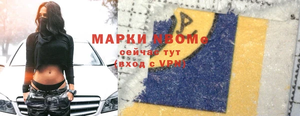 прущие грибы Балабаново