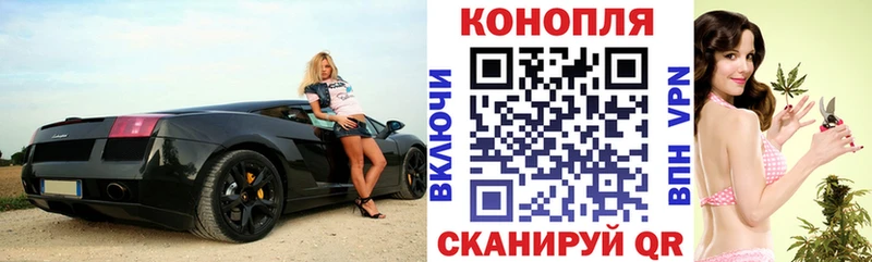 купить наркотики сайты  Калуга  Конопля семена 